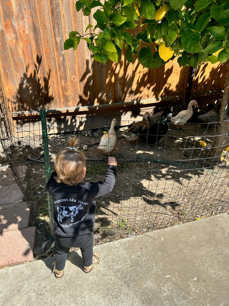 Toddler Bella + Canvas Larry the Cow Sweatshirt