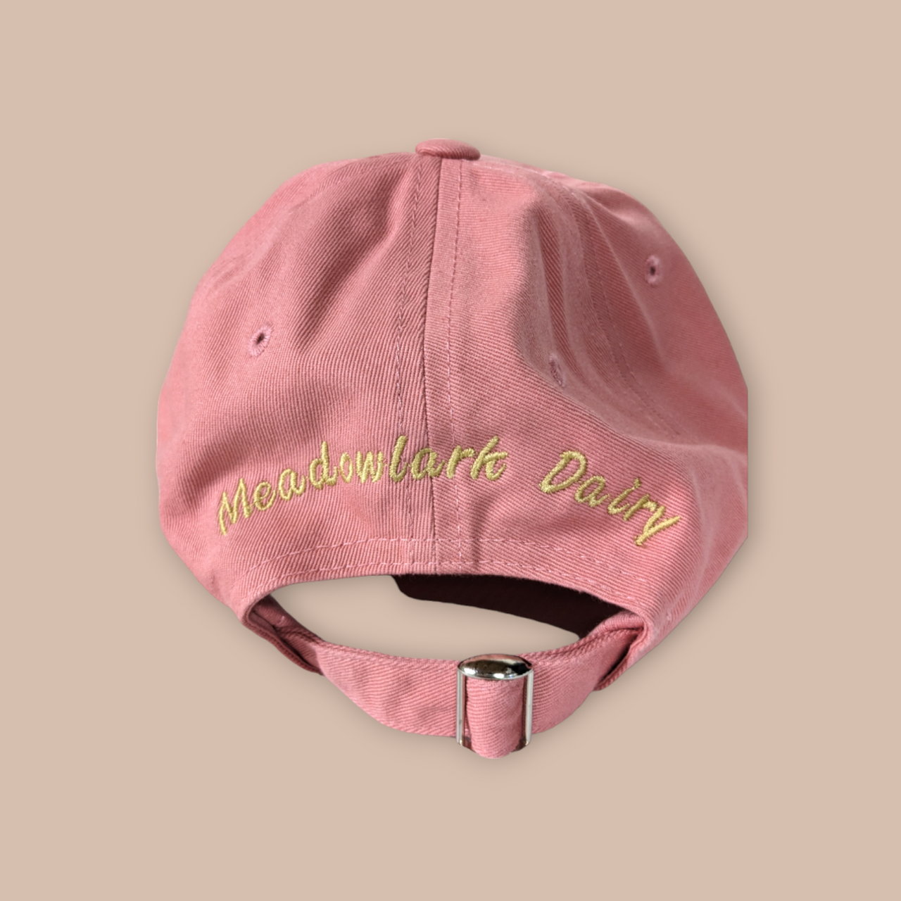Ice Cream Cone Dad Hats